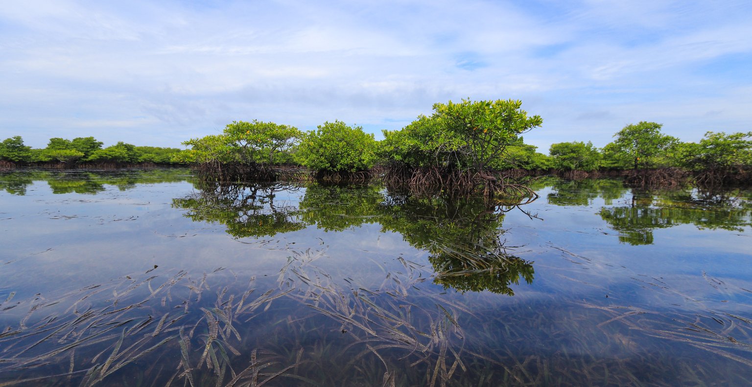 Cheap flights from Athens to Dipolog from £277