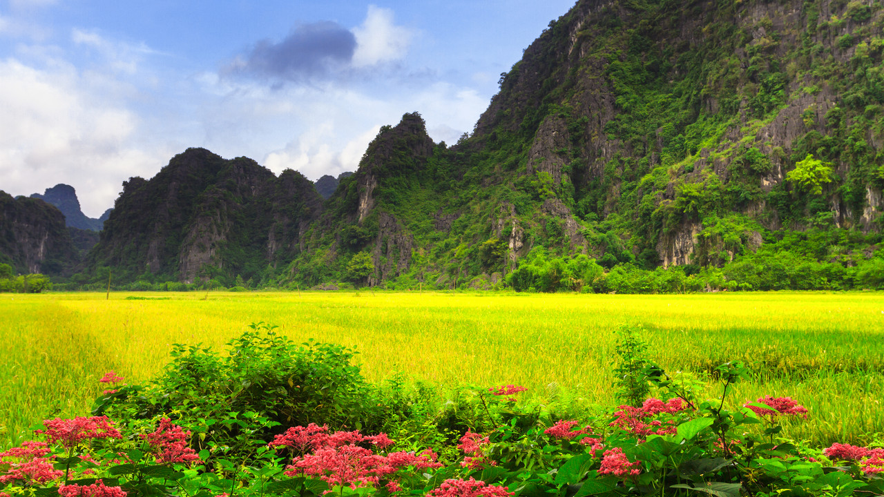 Cheap flights from Nha Trang to Đồng Hới from £58