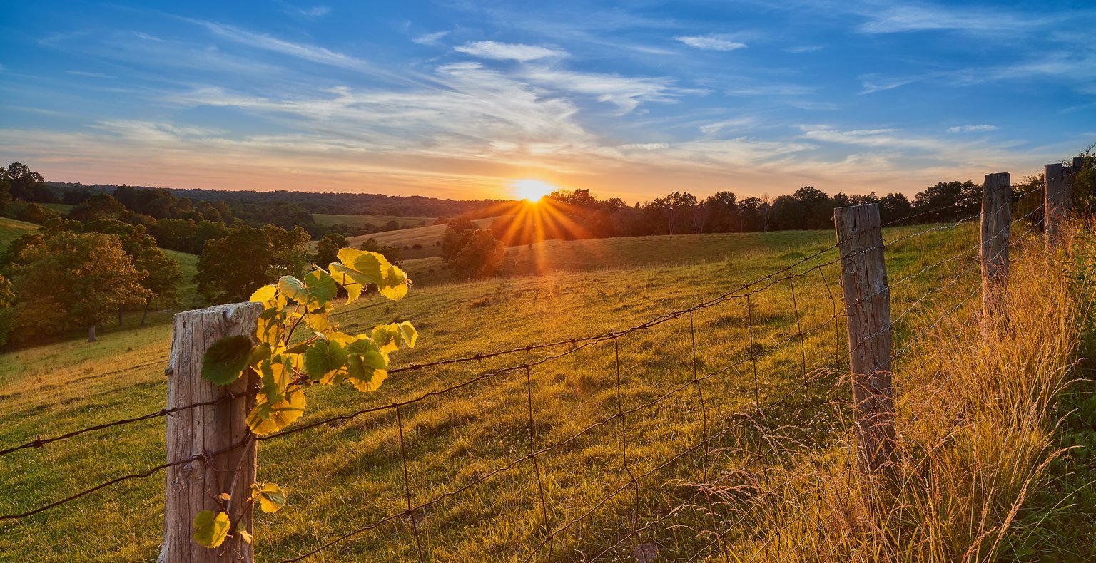 Cheap flights from Toronto from