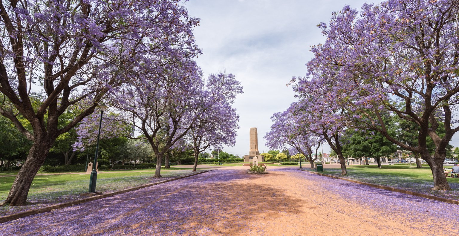 Levné lety do Dubbo, Austrálie