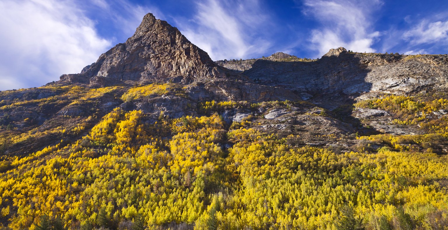 Намиране на евтини полети to Elko