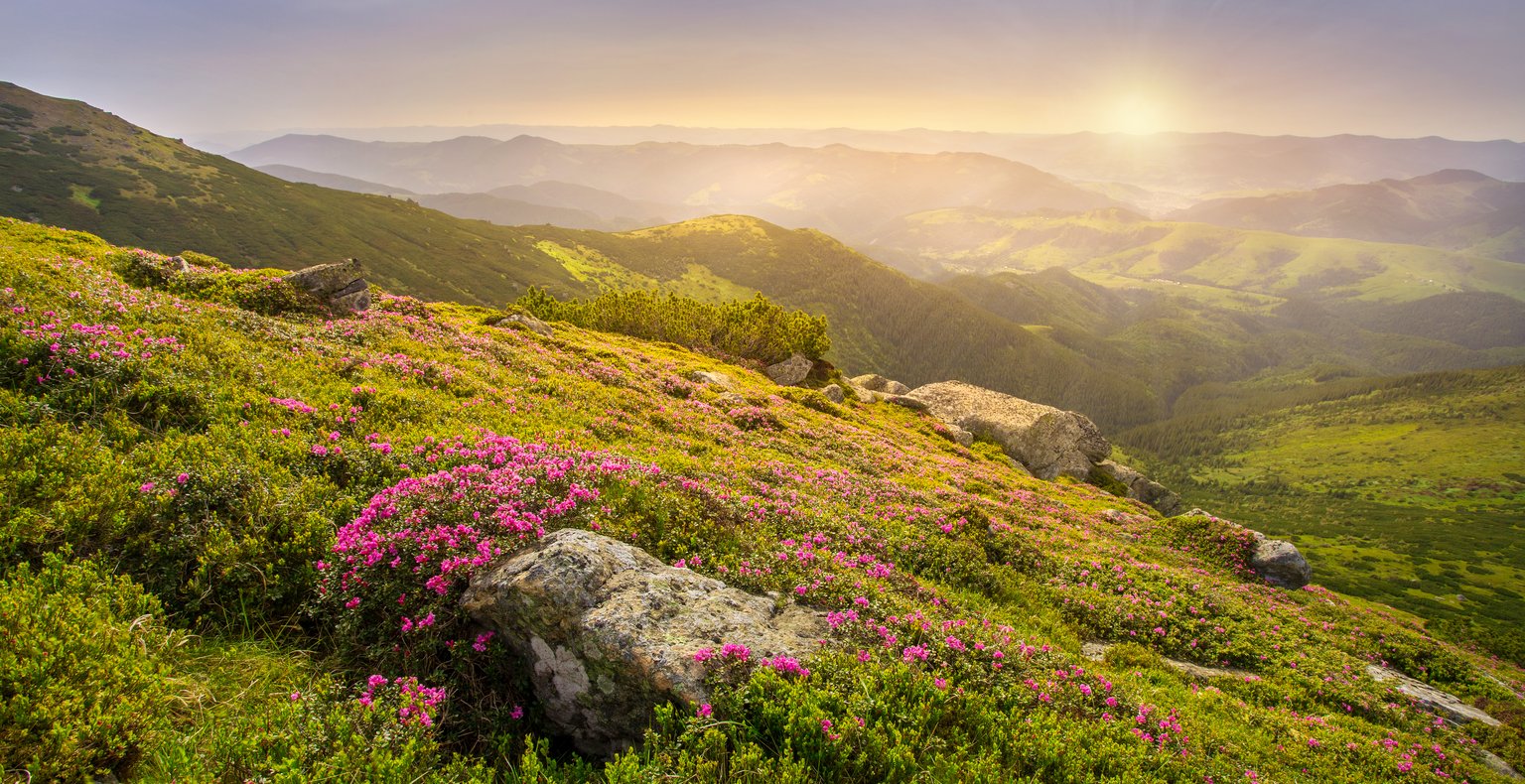 Flyg till Florø, Norge