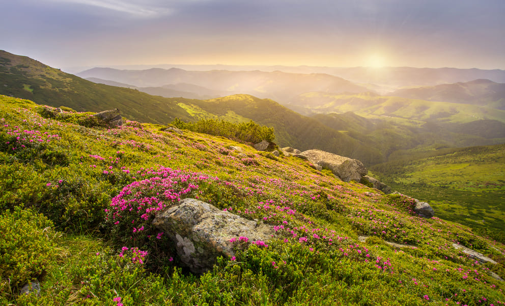 Günstige Mietwagen in Florø, Norwegen