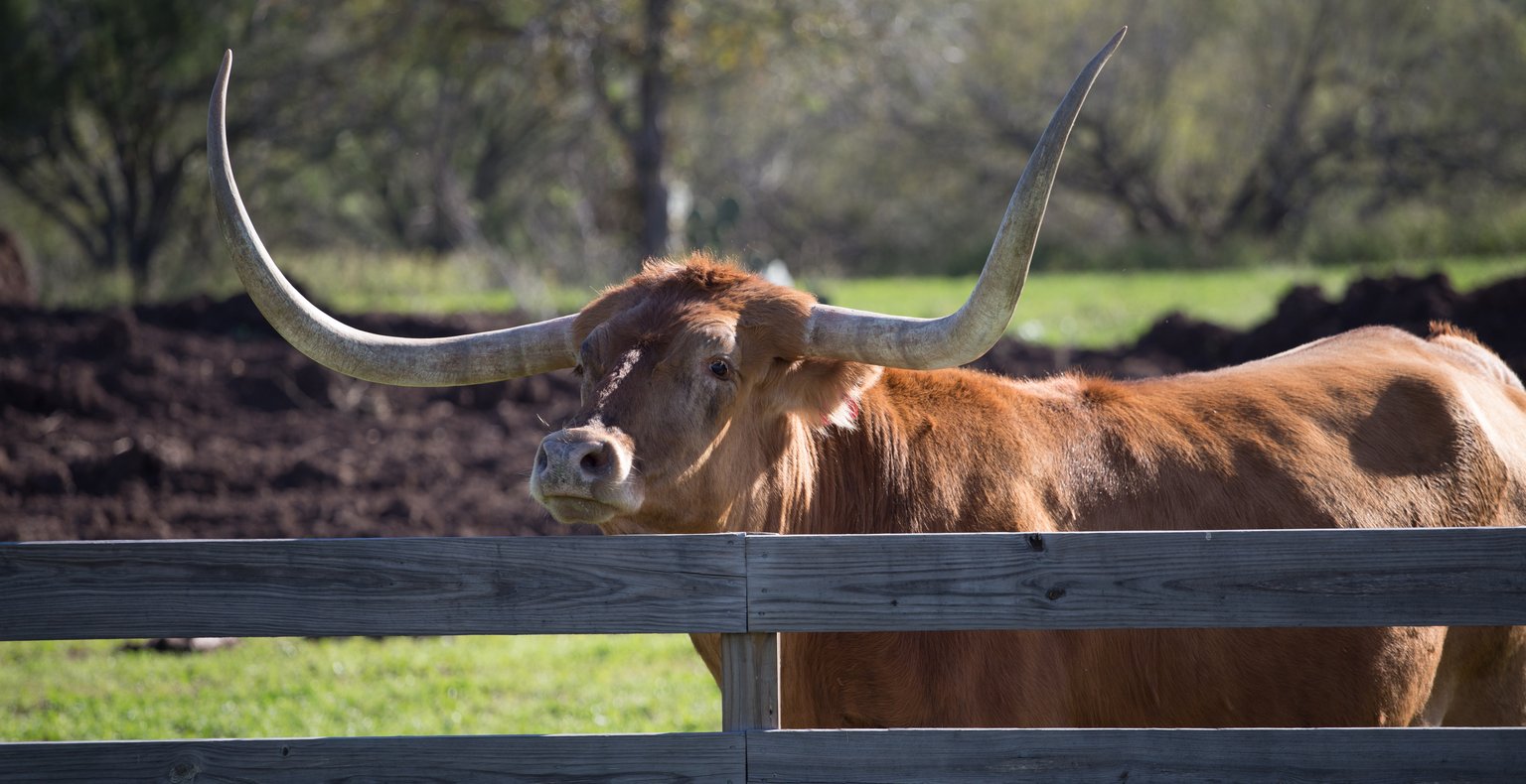 Tanie bilety to Fort Smith, AR, Stany Zjednoczone