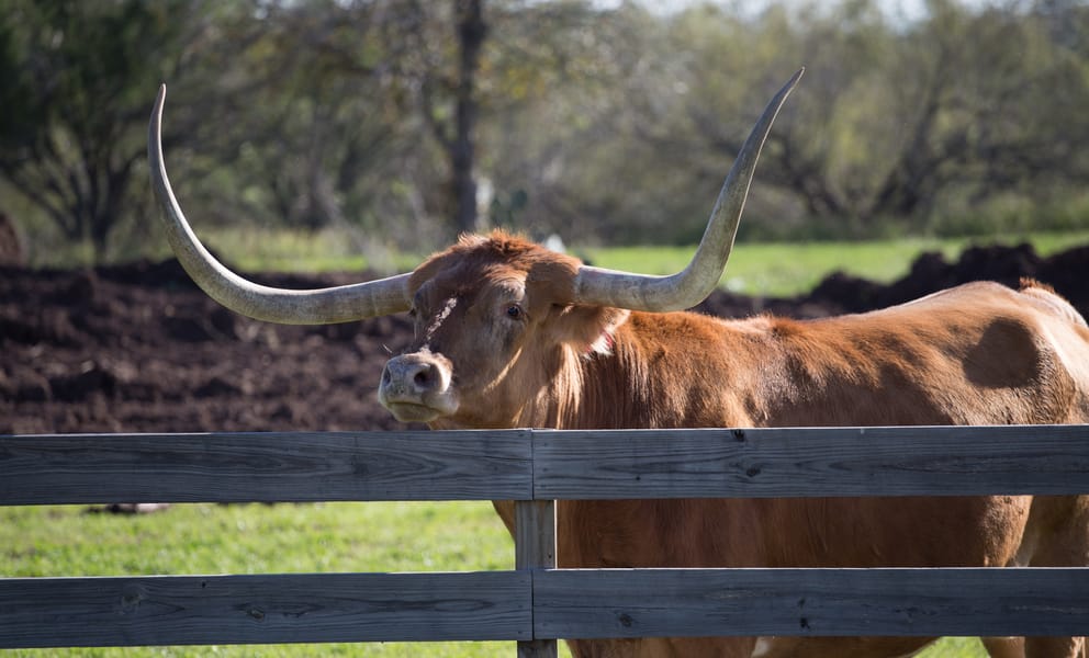 Cheap car rentals in Fort Smith, United States