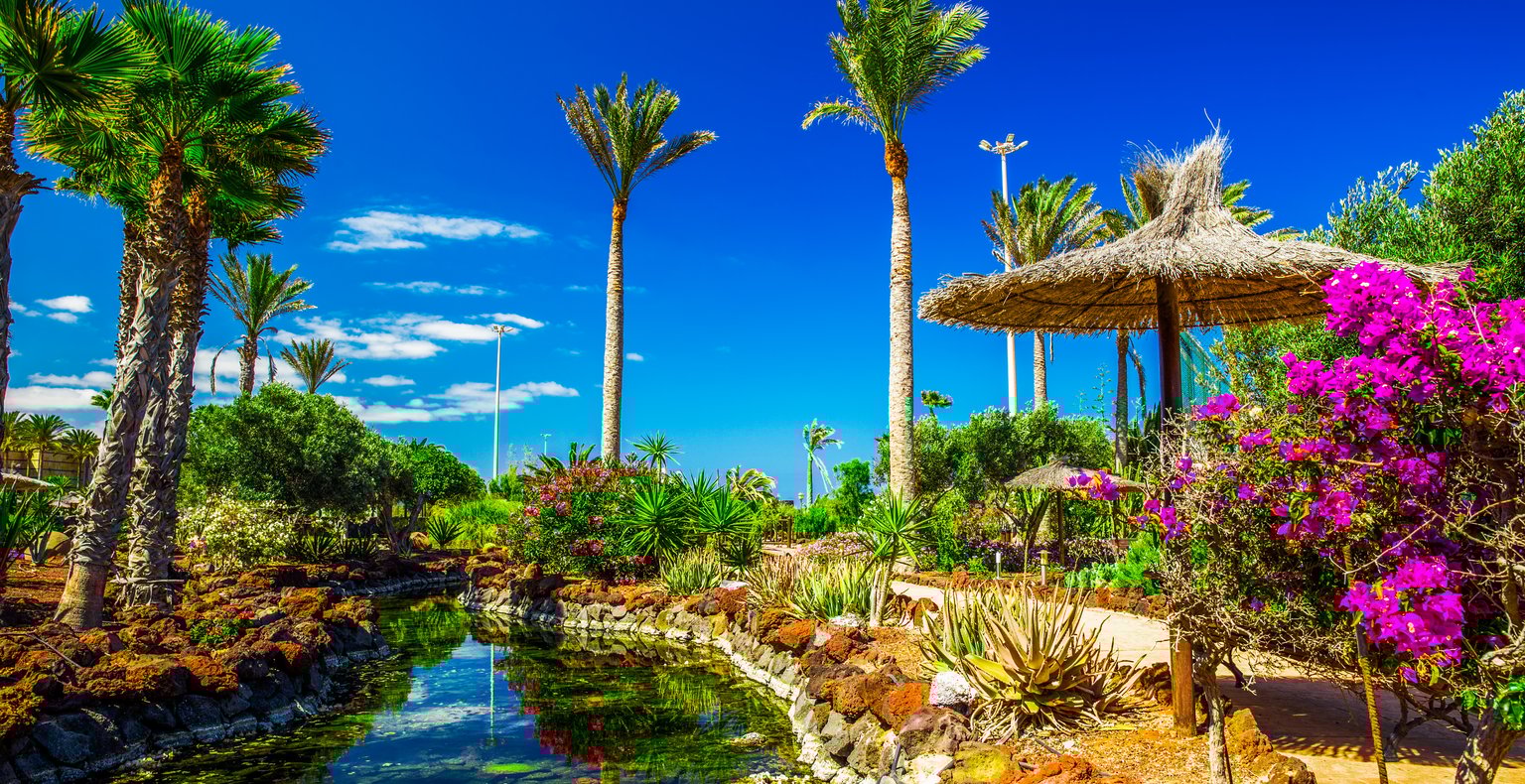 Дешевые авиабилеты из Будапешта на Фуэртевентуру от $85