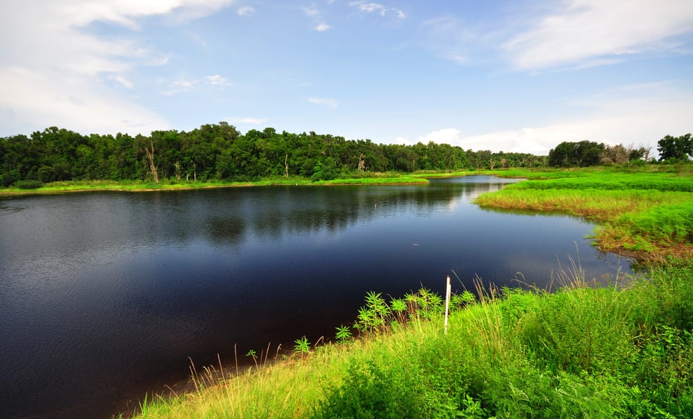 Cheap car rentals in Gainesville, United States