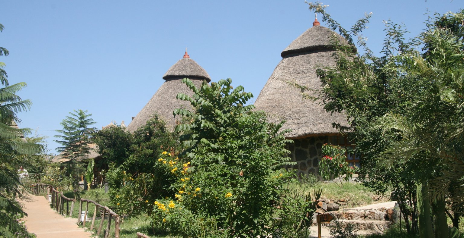Najděte levné letenky To Gambela