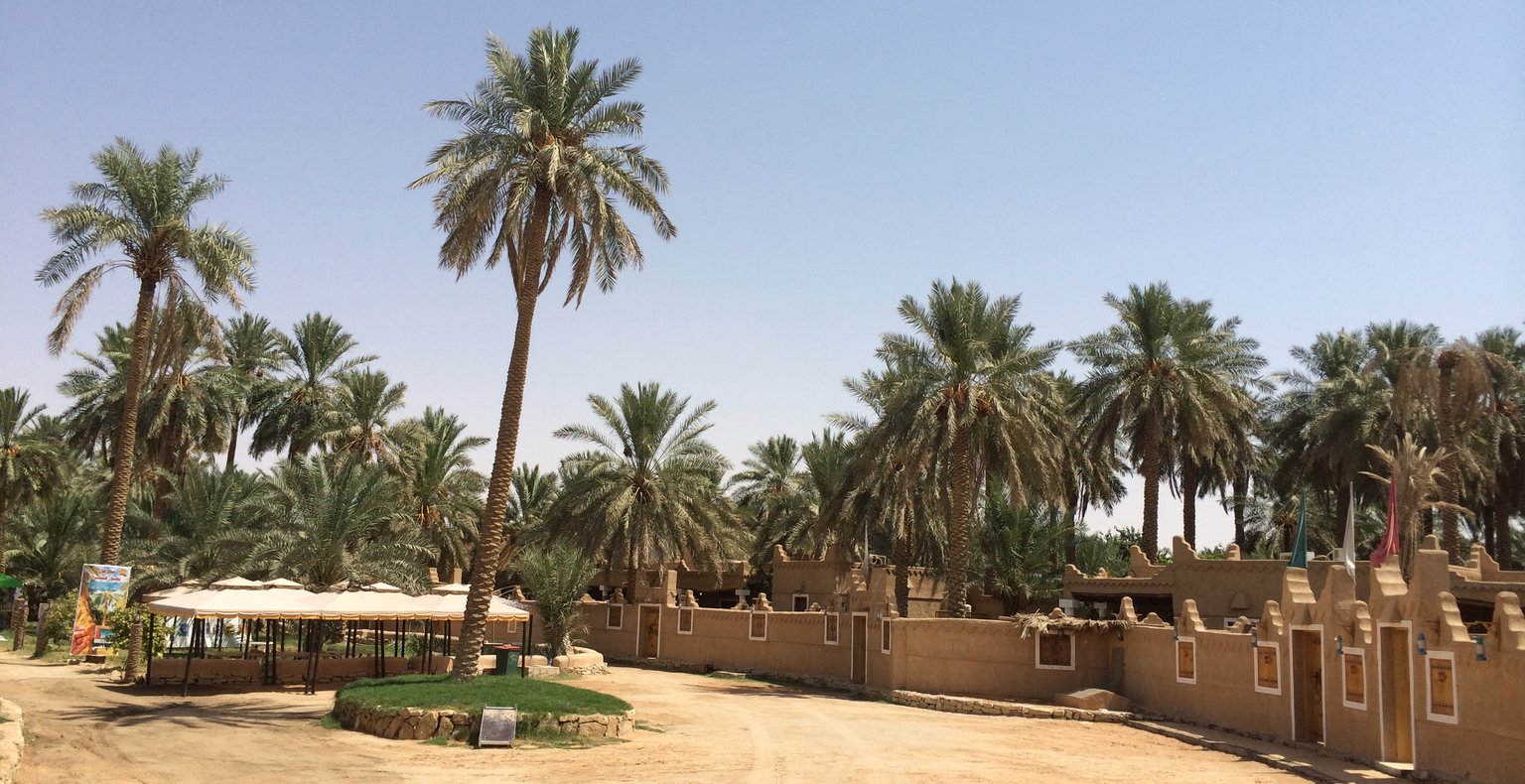 رحلات طيران رخيصة من شرورة إلى منطقة القصيم بأسعار تبدأ من 991 SR