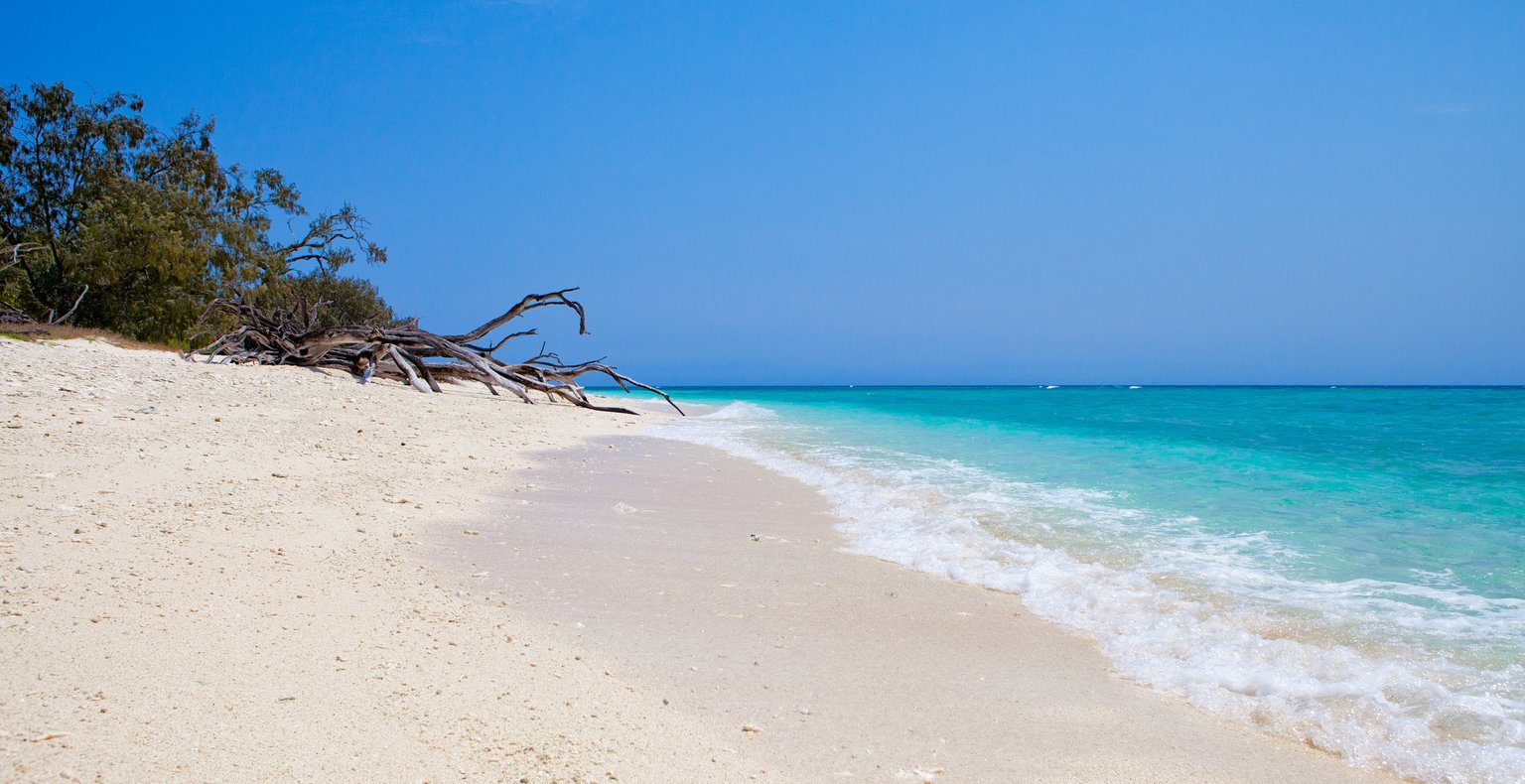 Vols pas chers vers Gladstone, Australie