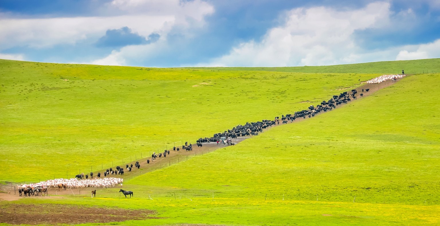 Vols pas chers to Golog Tibetan Autonomous Prefecture, Chine
