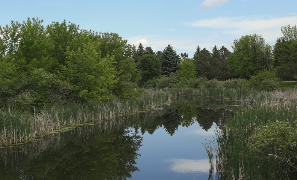 Cheap car rentals in Grand Forks, United States