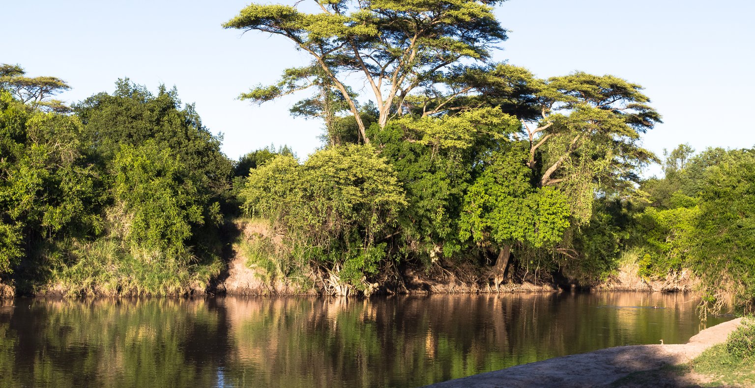 Flüge nach Grumeti Game Reserve, Tansania