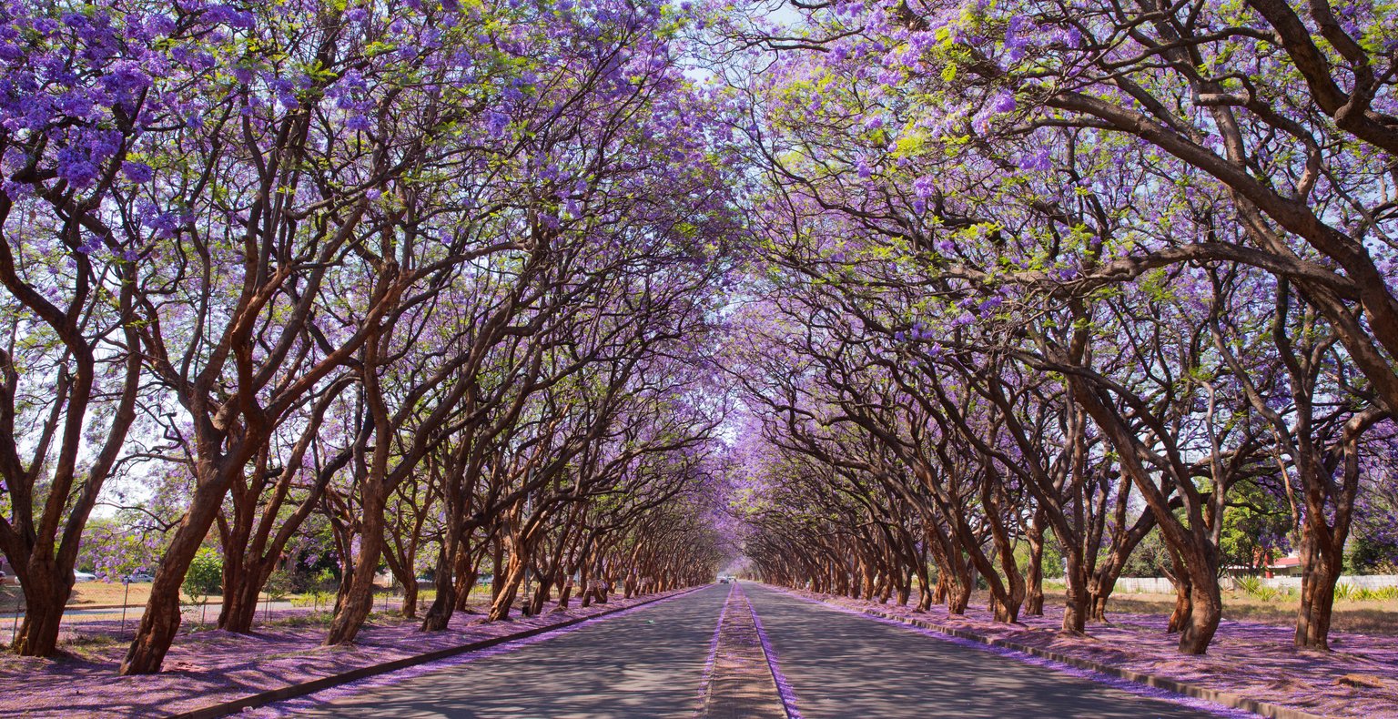 Cheap flights from Johannesburg to Harare from CA$127