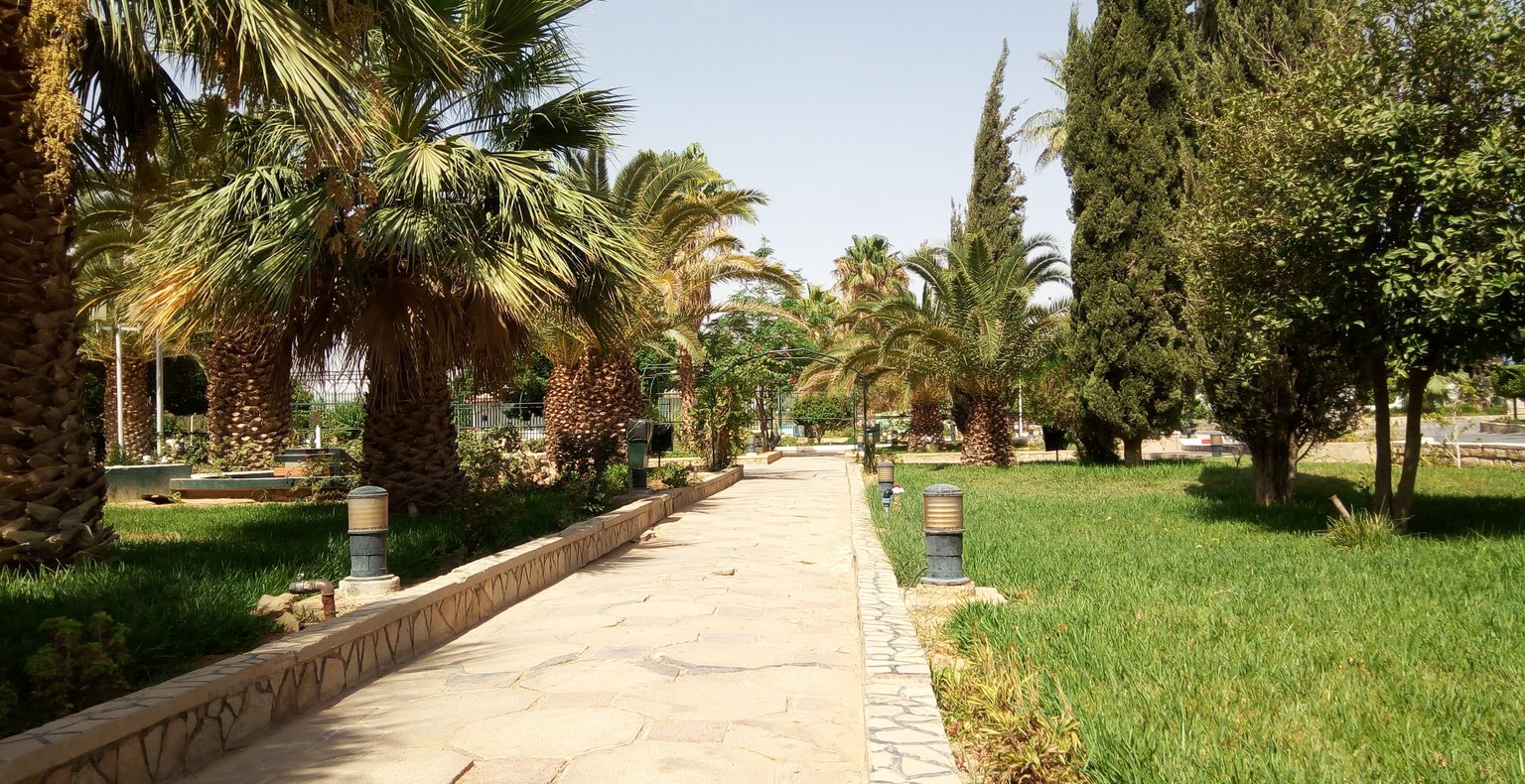 رحلات طيران رخيصة من الجزائر العاصمة إلى حاسي مسعود بأسعار تبدأ من