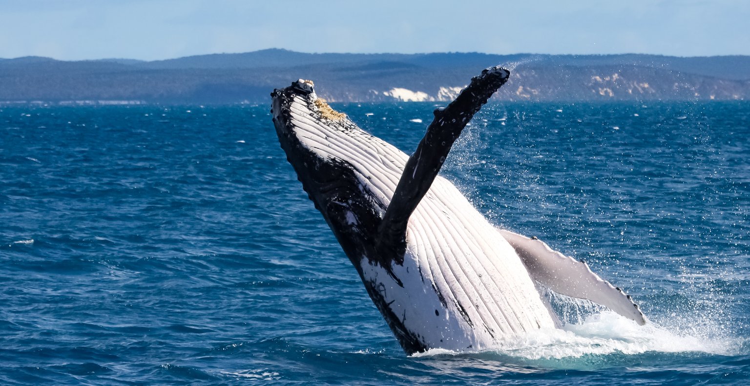 Cheap flights from Brisbane to Hervey Bay from £87