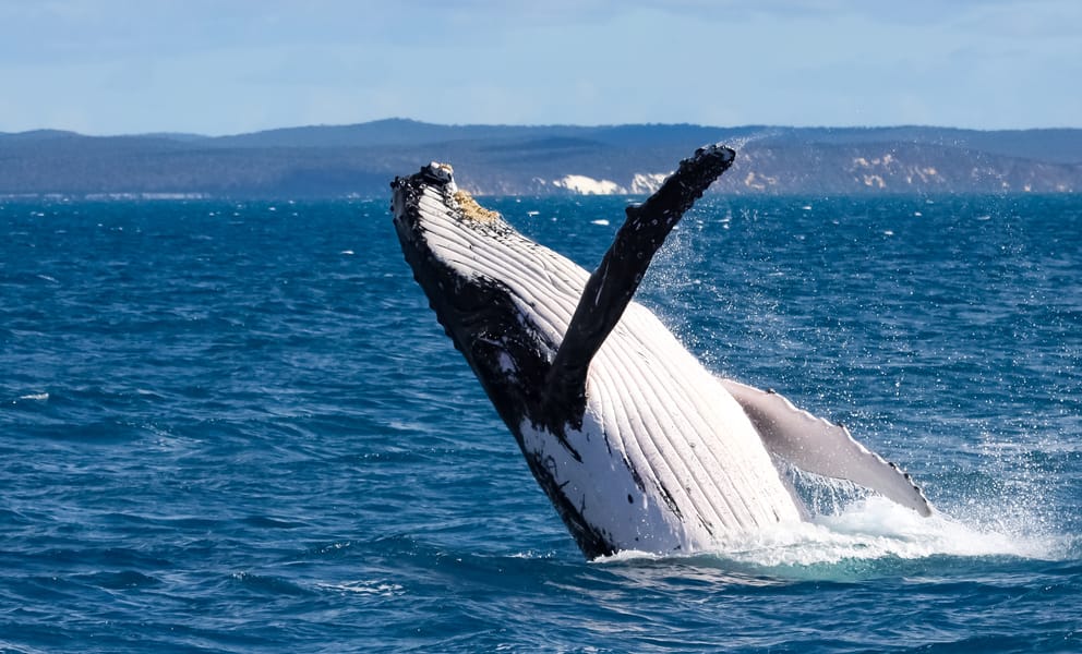 Cheap car rentals in Hervey Bay, Australia
