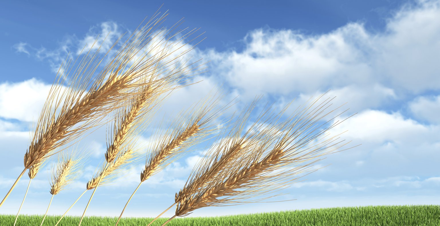 Finden Sie günstige Flüge to Hoskins