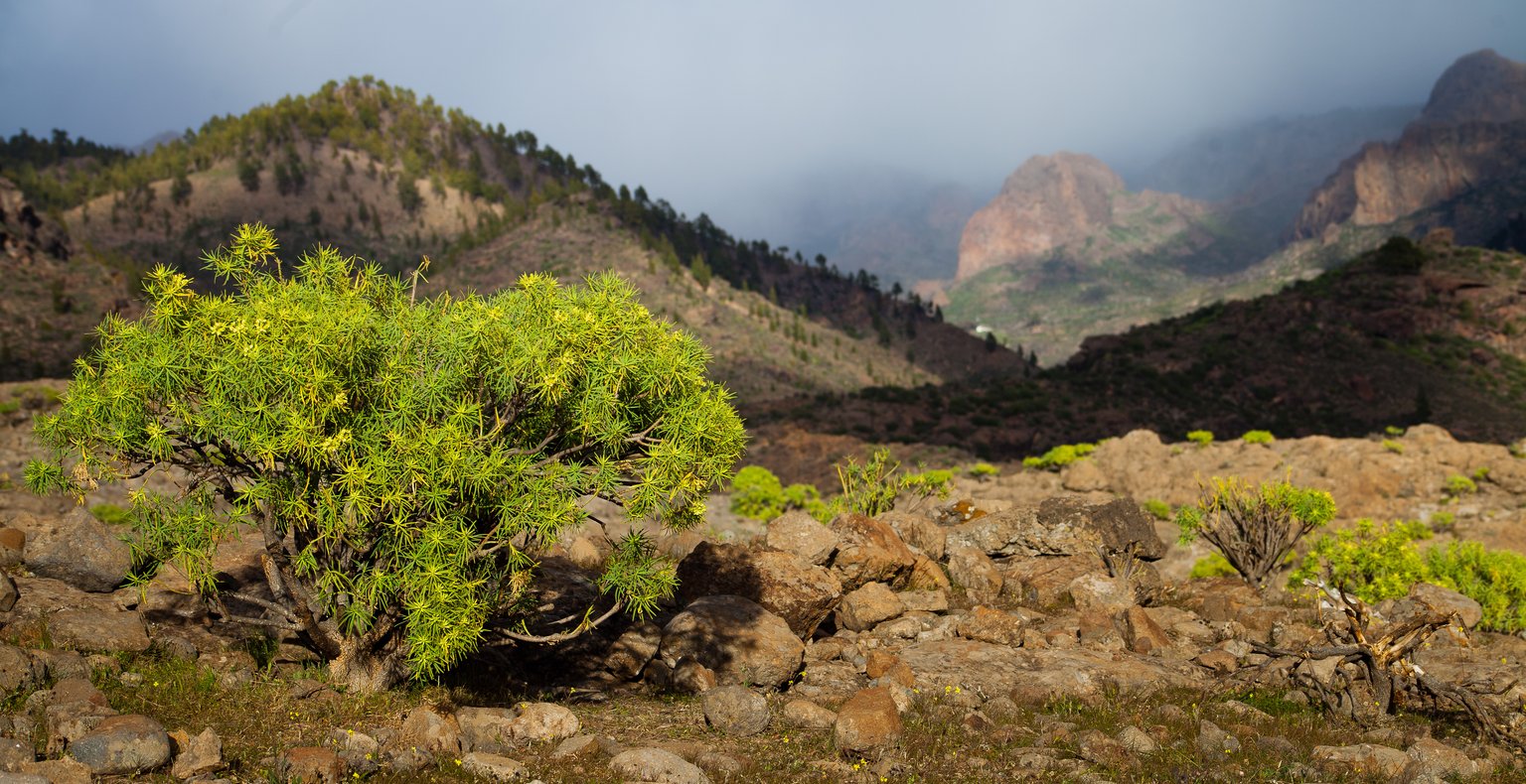 Vols vers Inagua, Bahamas