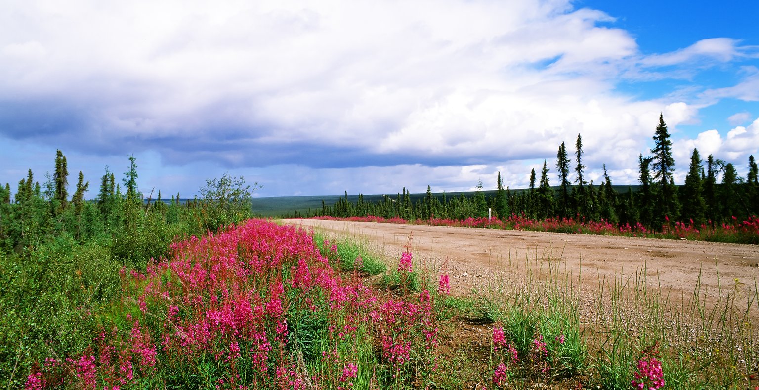 Günstige Flüge to Inuvik, NT, Kanada