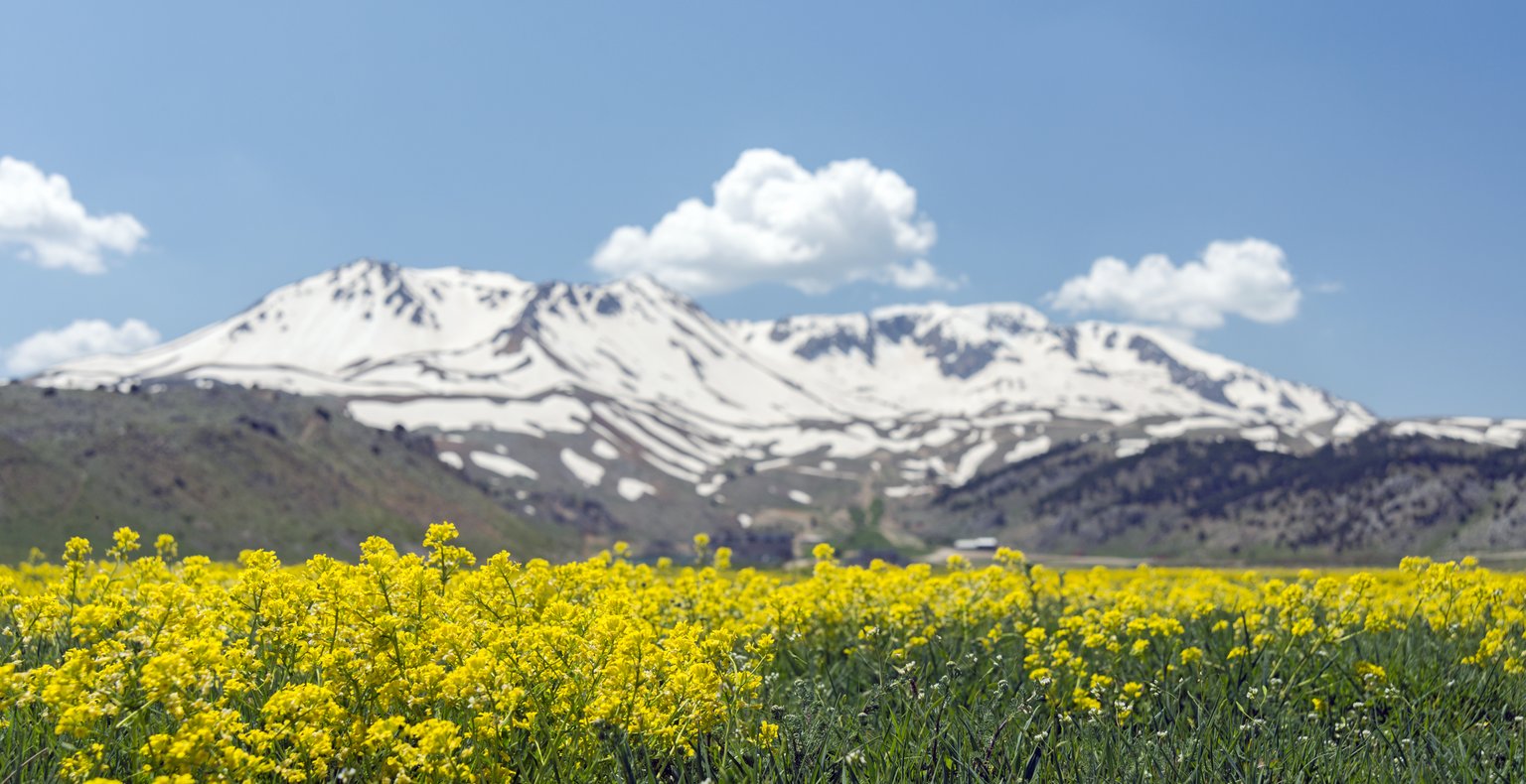 İstanbul’dan Isparta’ya ucuz uçak biletleri 1,739 TL başlangıç fiyatıyla