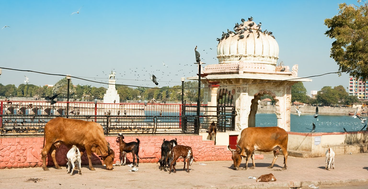 Cheap flights from Mumbai to Jamnagar from $74