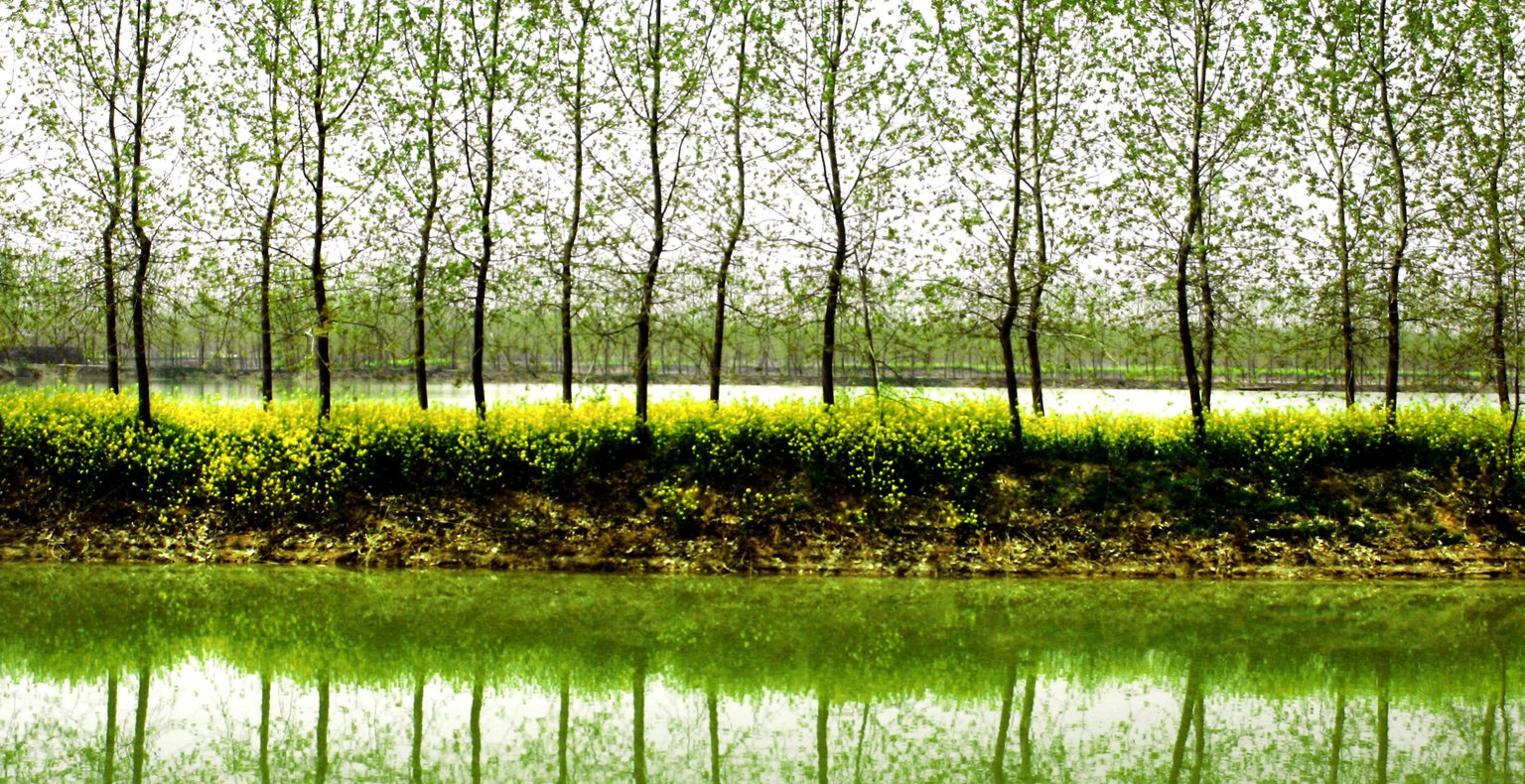 Find billige flybilletter to Jining