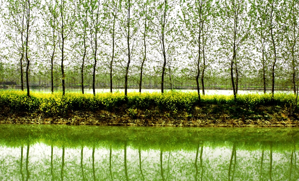 Günstige Mietwagen in Jining, China