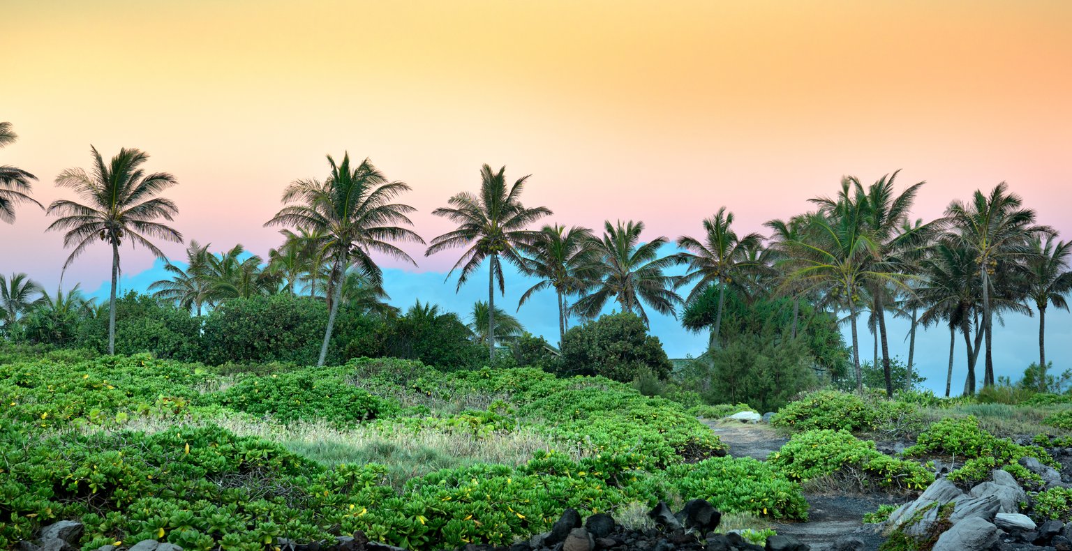 Keressen olcsó repülőjegyeket Kapaluába