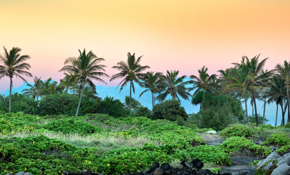 Cheap car rentals in Kapalua, United States