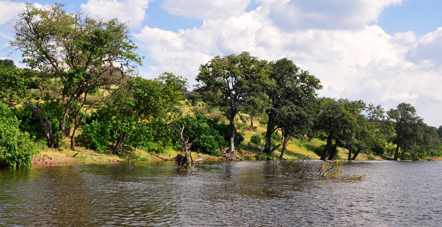 Find cheap flights to Kasane