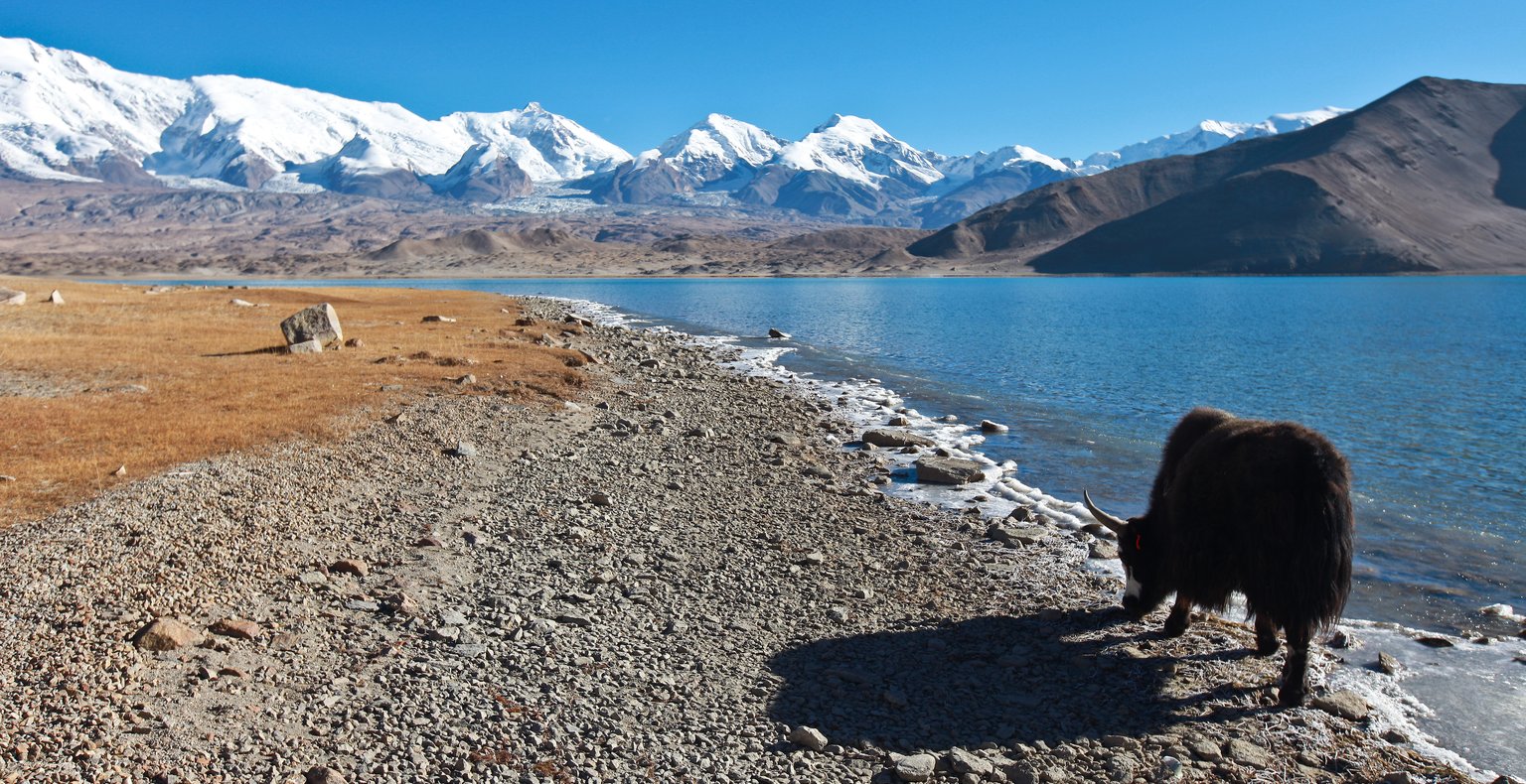 Cheap flights from Lanzhou to Kashgar from £413