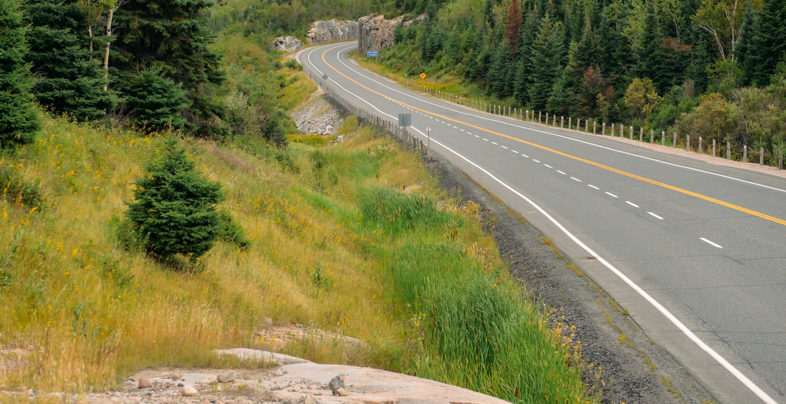 Cheap flights from Toronto  from