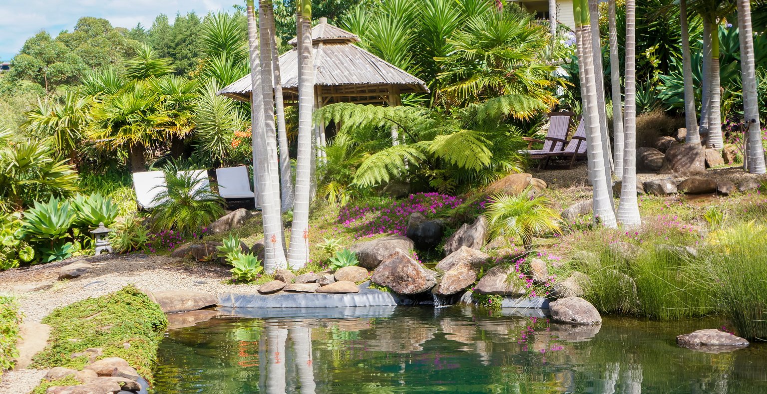 Cheap flights from Auckland to Kerikeri from £58