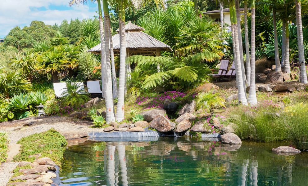 Cheap car rentals in Kerikeri, New Zealand