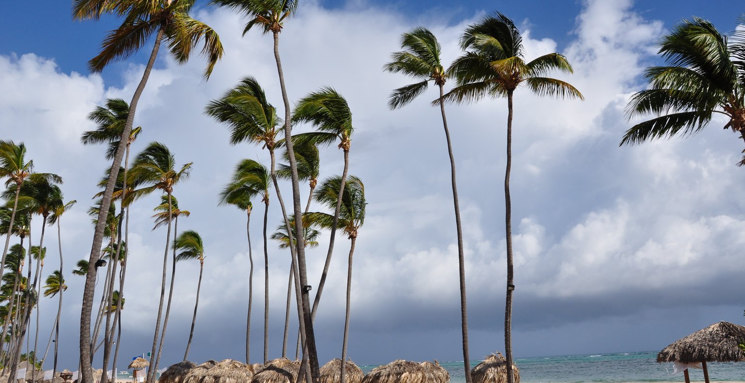 Günstige Flüge von San José nach Kingston ab 166 €