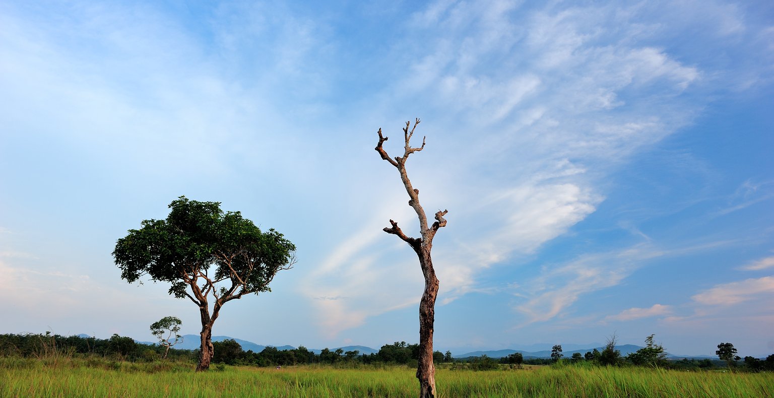 Goedkope vluchten van Denpasar naar Kupang vanaf 80 €