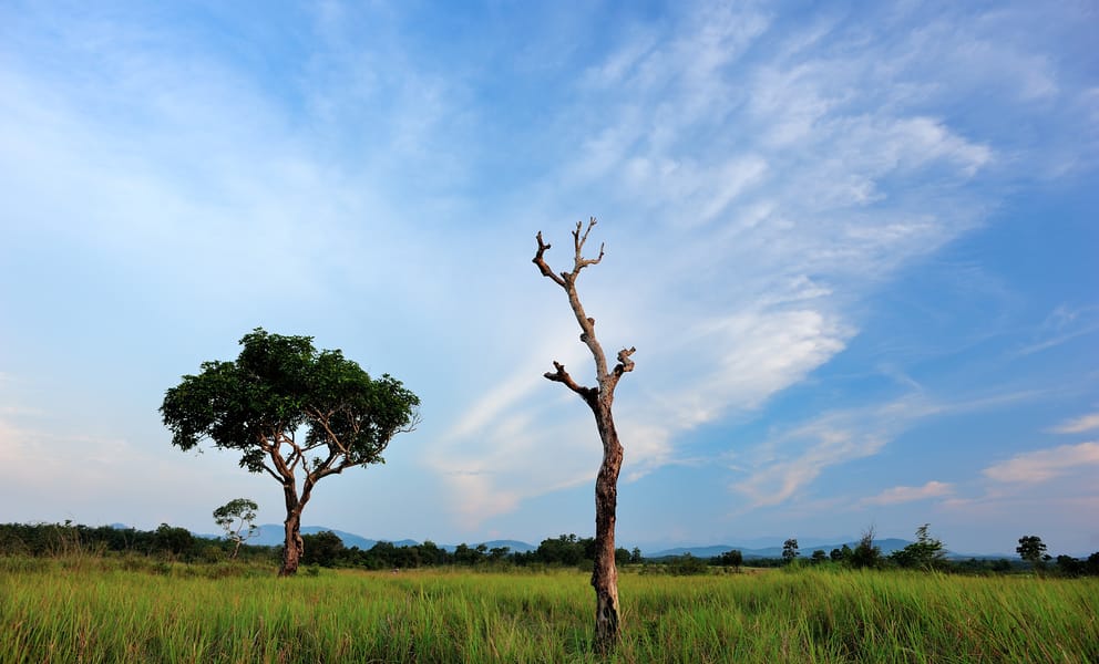 Cheap car rentals in Kupang, Indonesia