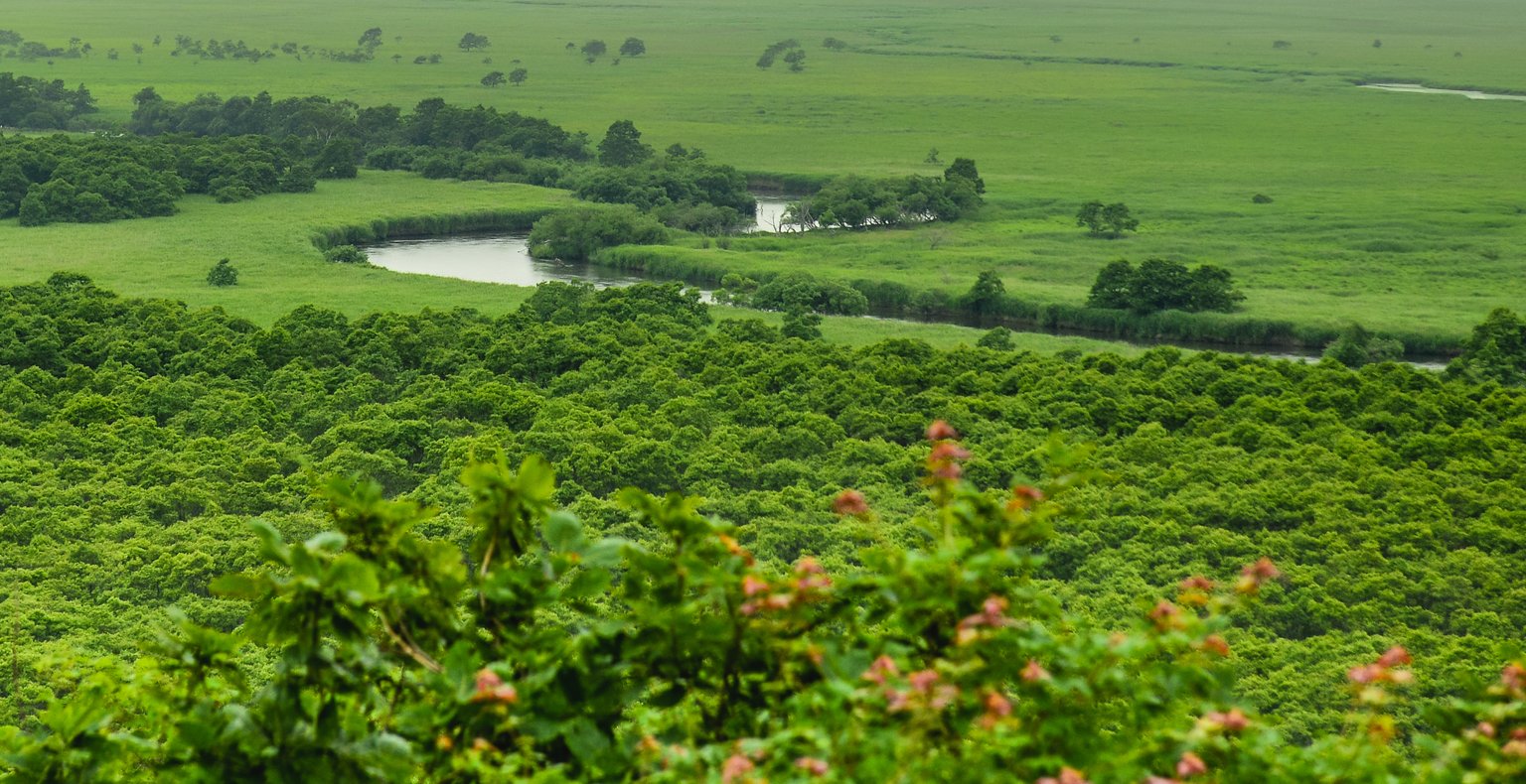 名古屋発釧路行きの格安チケットが¥28,341~