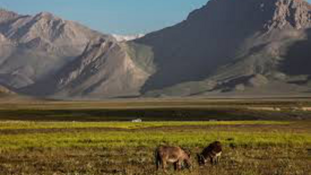 저렴한 To Lar
항공권 검색