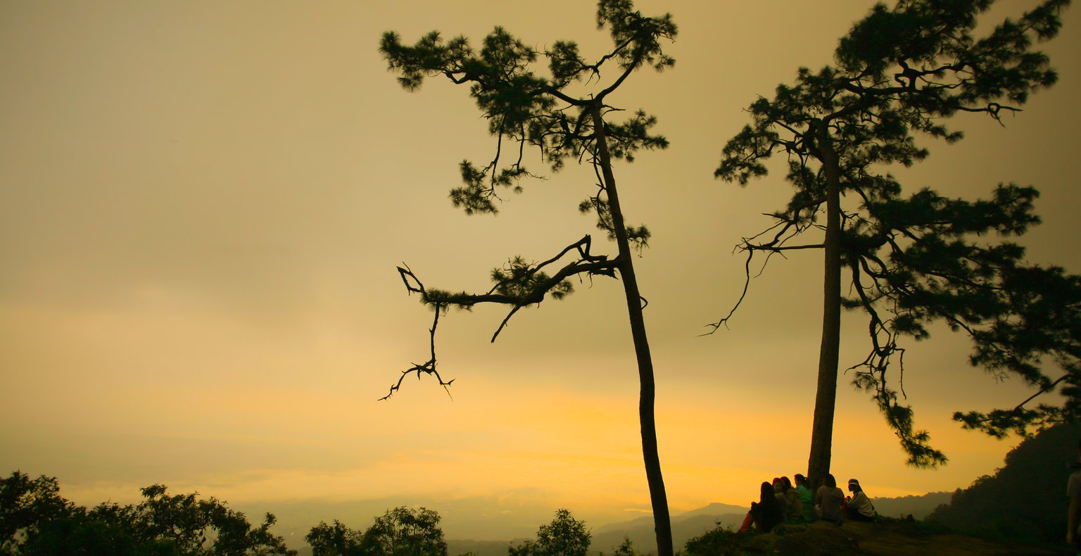 חיפוש טיסות זולות to Loei Province