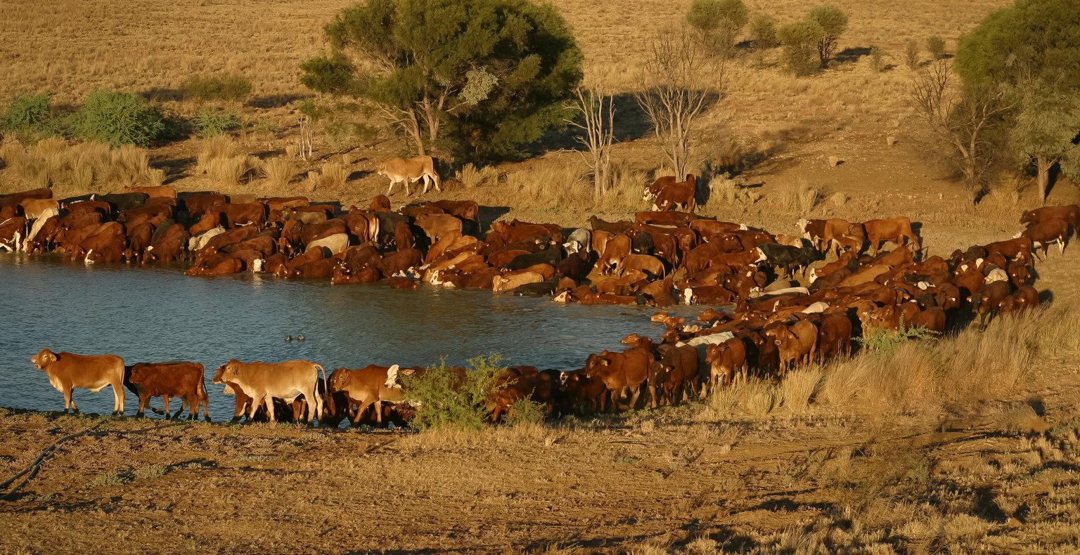 Lennot kohteeseen Longreach, Australia