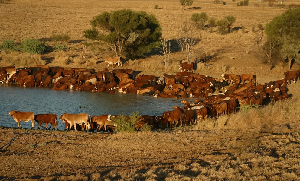 Aluguer de carros baratos em Longreach, Austrália