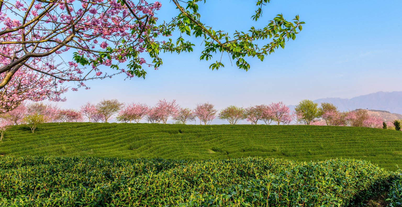 Finden Sie günstige Flüge nach Longyan