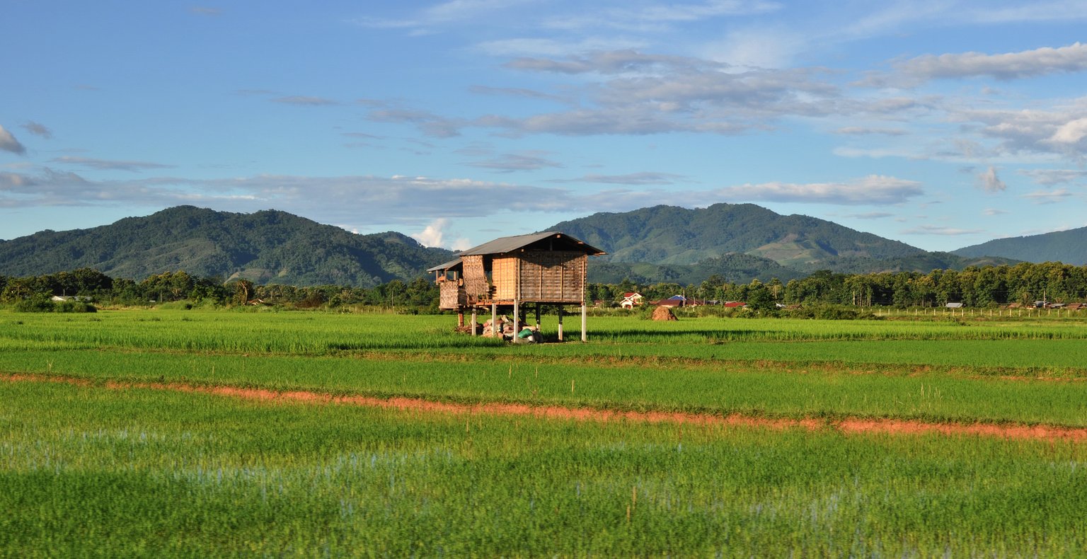Trova voli economici a Luang Namtha