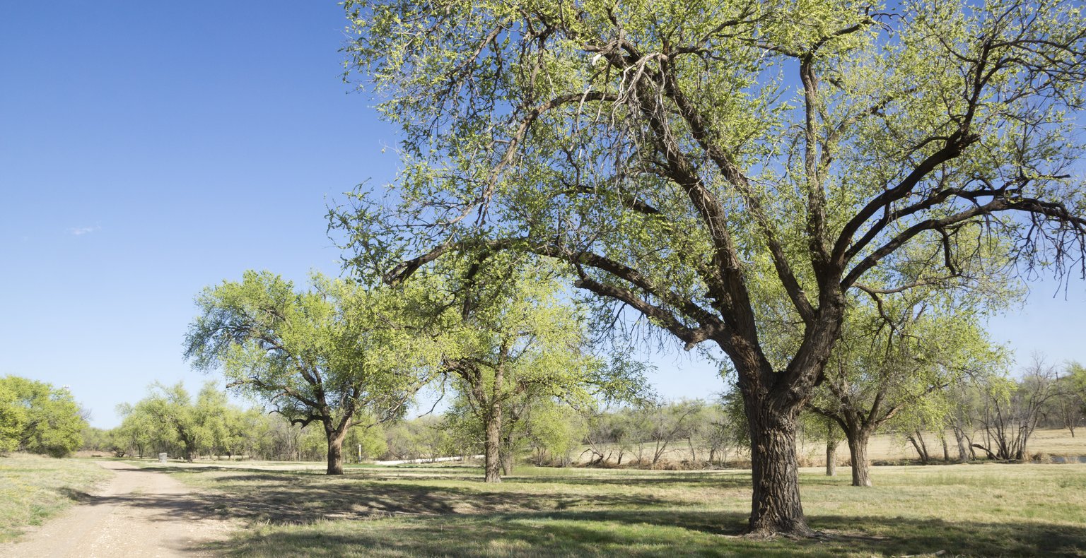 Cheap flights from London to Lubbock from £572