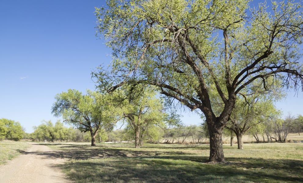 Cheap car rentals in Lubbock, United States