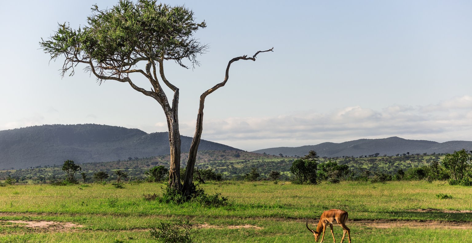 Cheap flights from Raleigh to Maasai Mara from $746