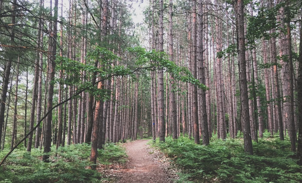 Location de voiture pas chère à Manistee, États-Unis