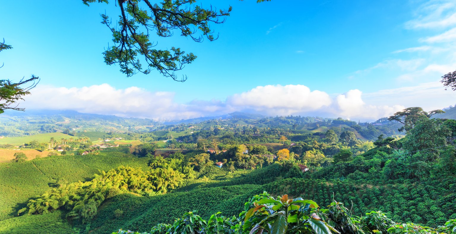 Vuelos baratos de Guadalajara a Manizales a partir de 214 €